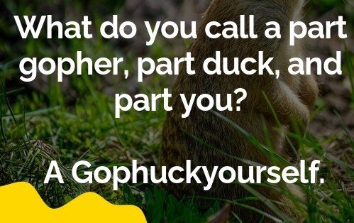 gopher-jokes-what-do-you-call-a-part-gopher-part-duck-and-part.jpg.021ac4573d323f7591b7f326b70cdd36.jpg